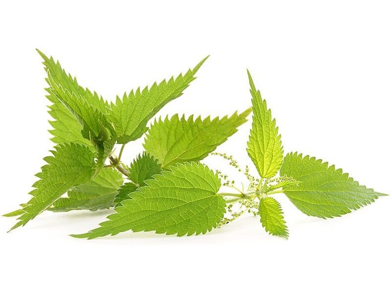 Nettle in the zxcvbnmqwert capsules